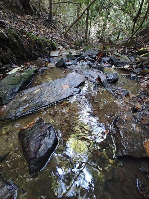 13 Reserve Estates Lane Murphy NC 28906