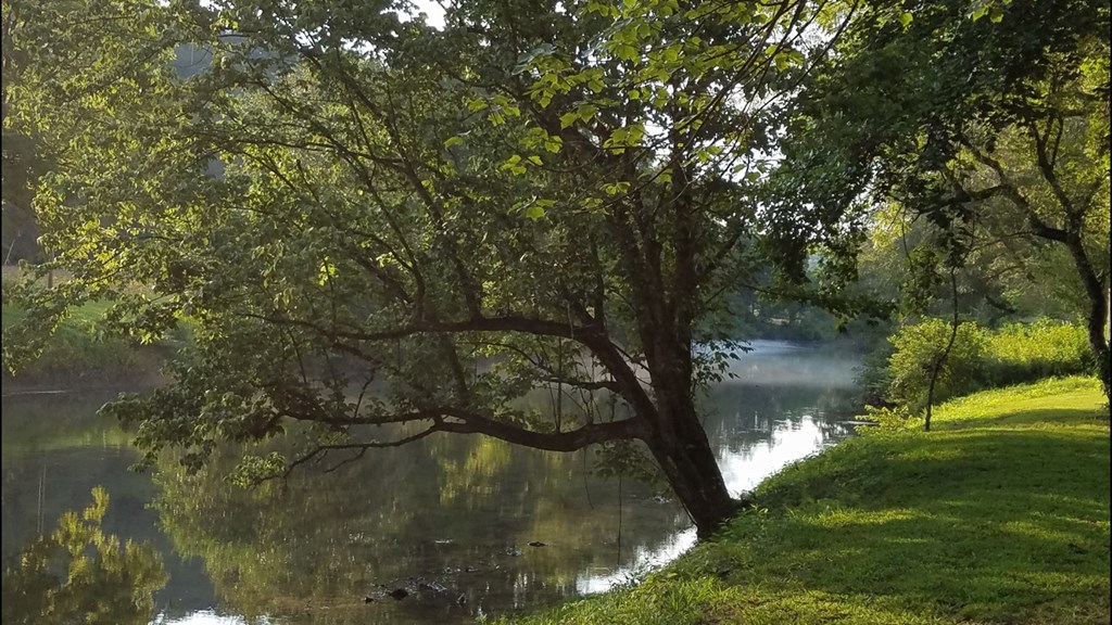 193-194 Old Toccoa Farm