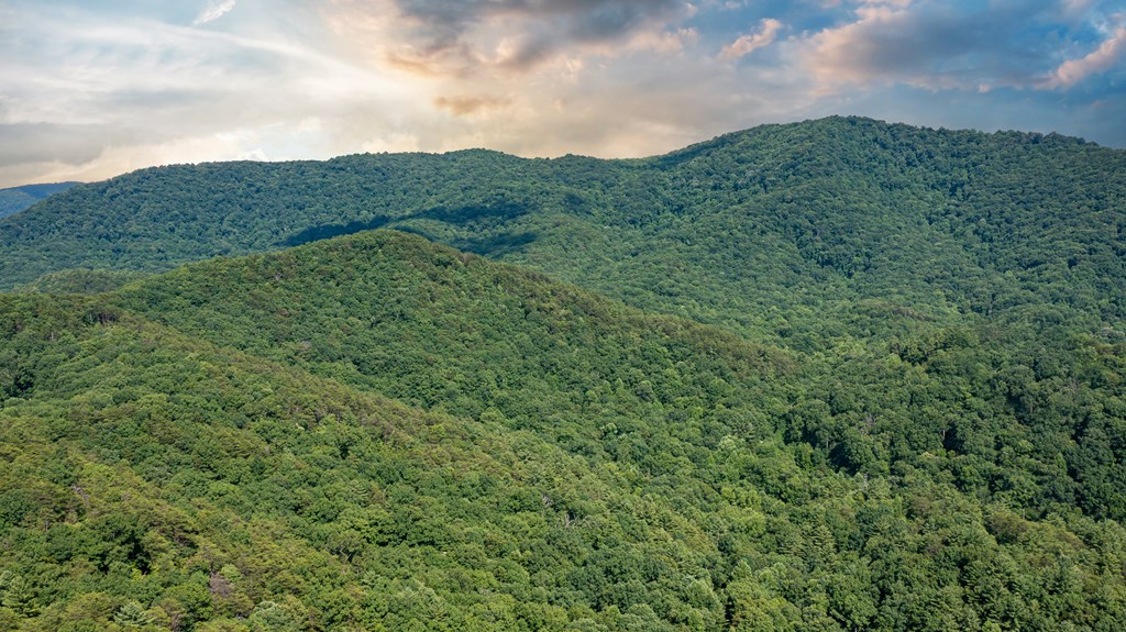 51+ acre Mountain Cove Way