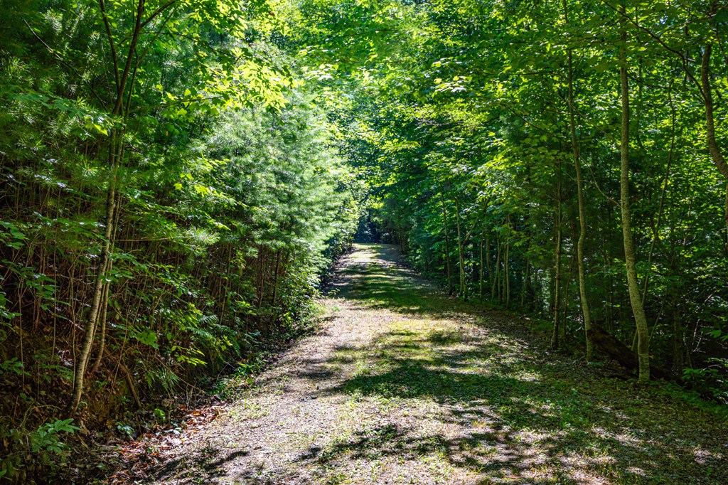 51+ acre Mountain Cove Way