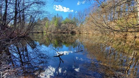 51+ acre Mountain Cove Way Cherry Log GA 30522