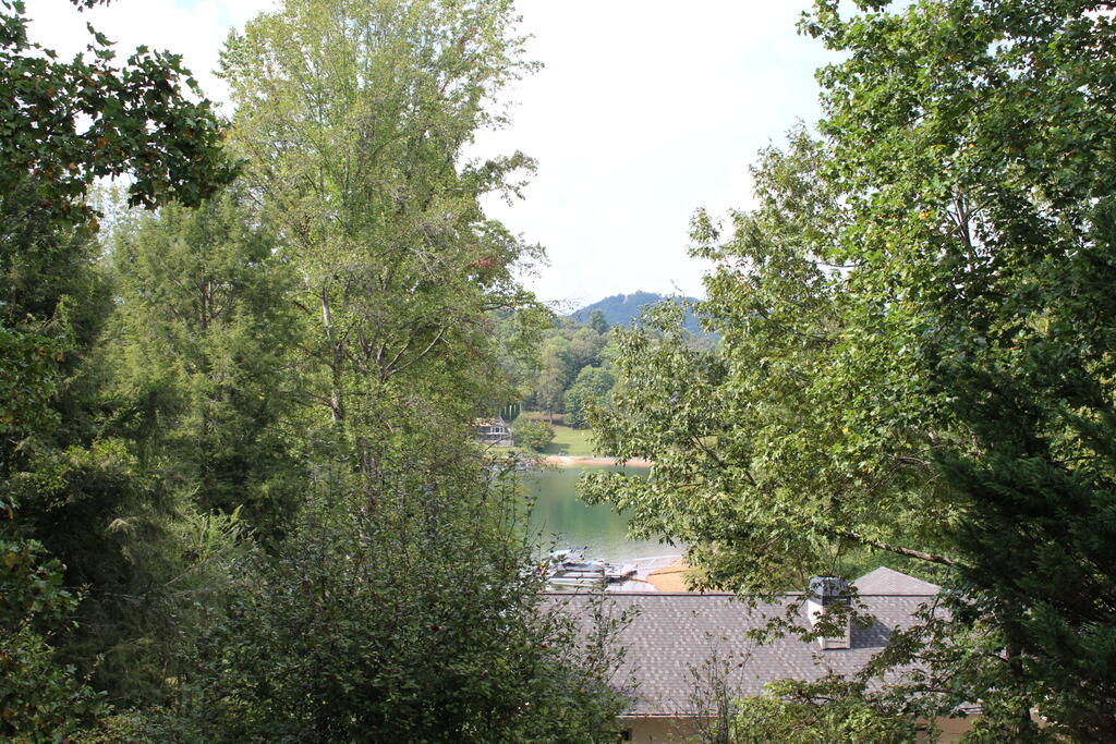 310 Licklog Court