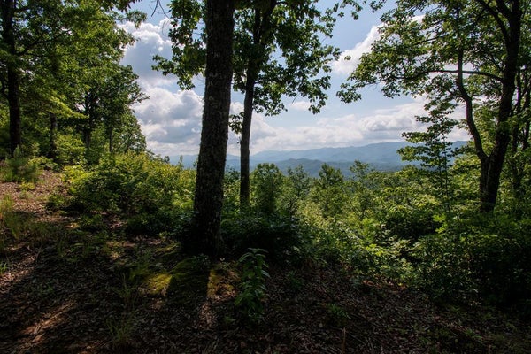 850 BLUFF RD, MARBLE, NC 28905 - Image 331d40b2dd79e4eac9c27604935f956c/3814071149