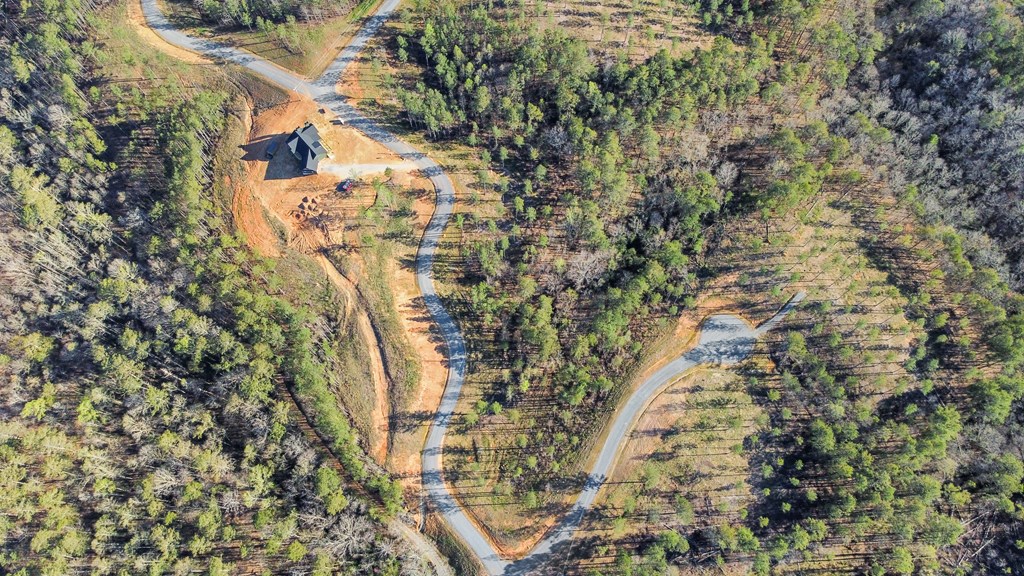 Ellijay, Georgia 30540, United States, ,Land,Active,61234