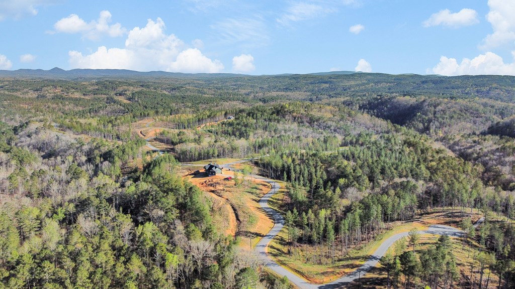 Ellijay, Georgia 30540, United States, ,Land,Active,61234