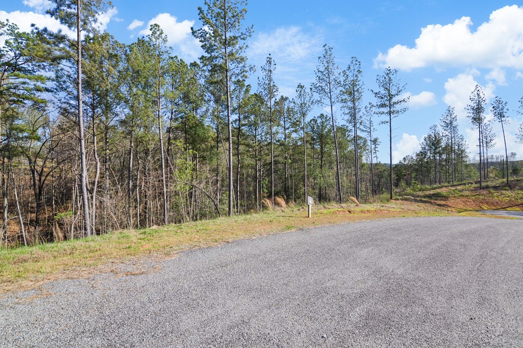 Ellijay, Georgia 30540, United States, ,Land,Active,61234