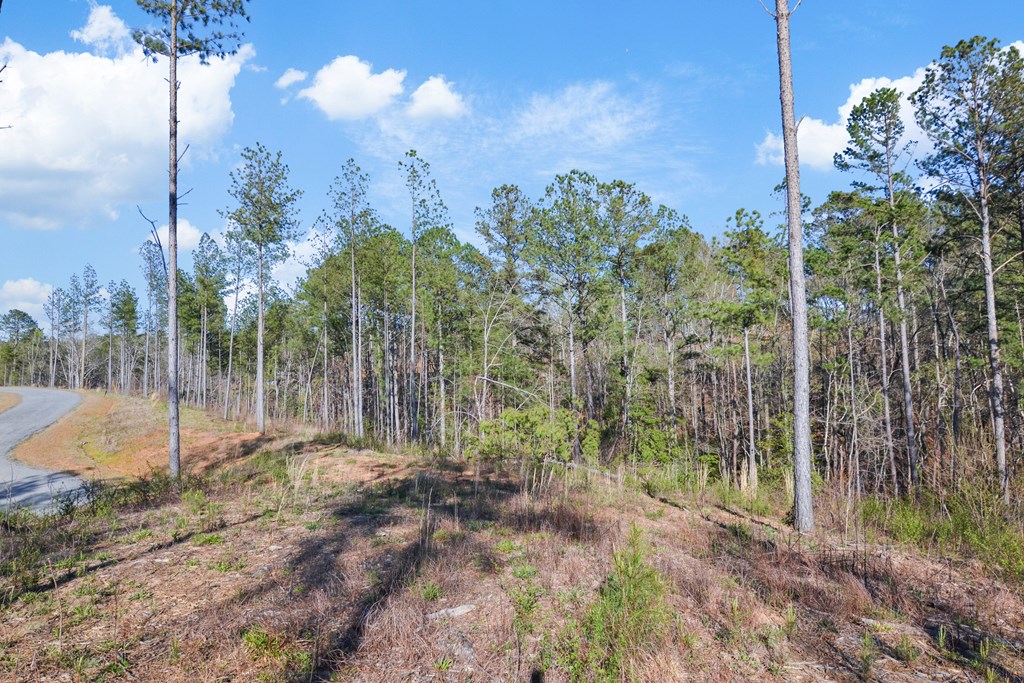 Ellijay, Georgia 30540, United States, ,Land,Active,61234