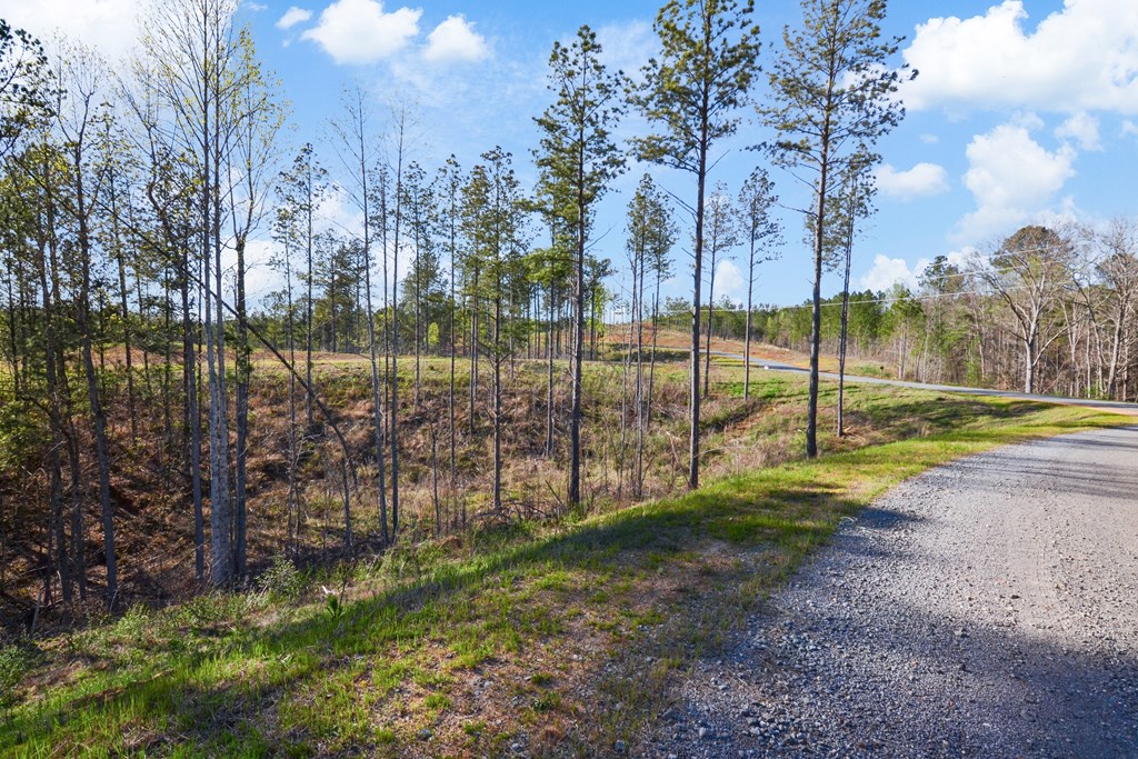 Ellijay, Georgia 30540, United States, ,Land,Active,61234