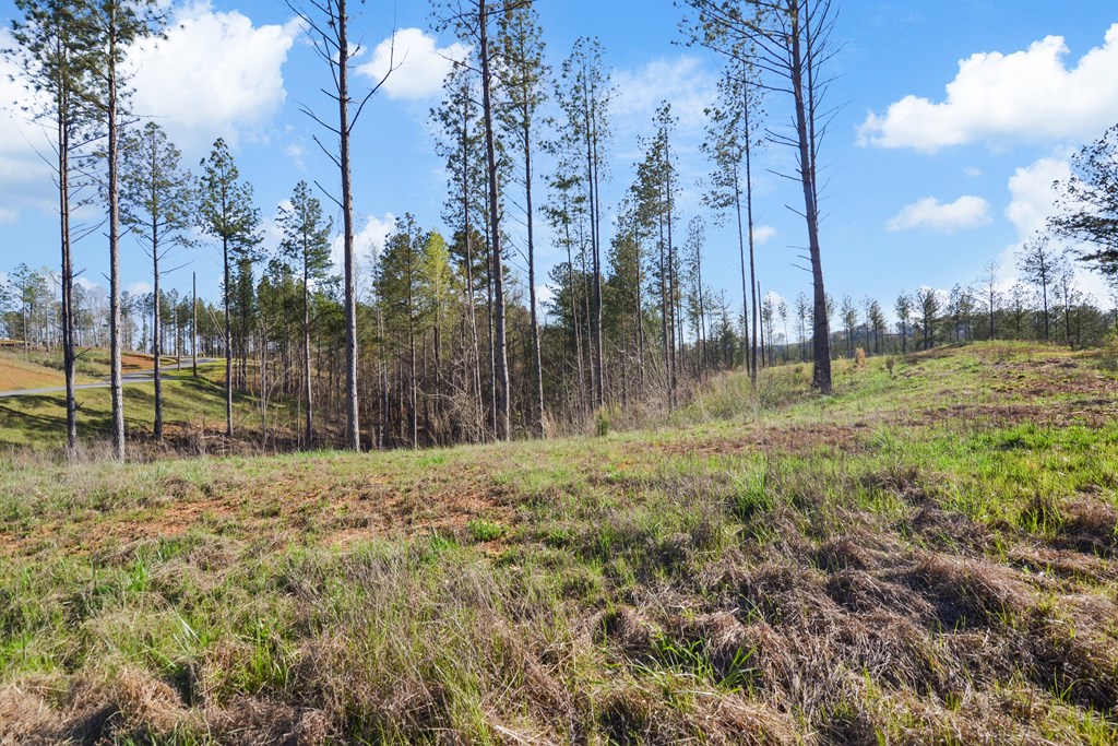 Ellijay, Georgia 30540, United States, ,Land,Active,61234