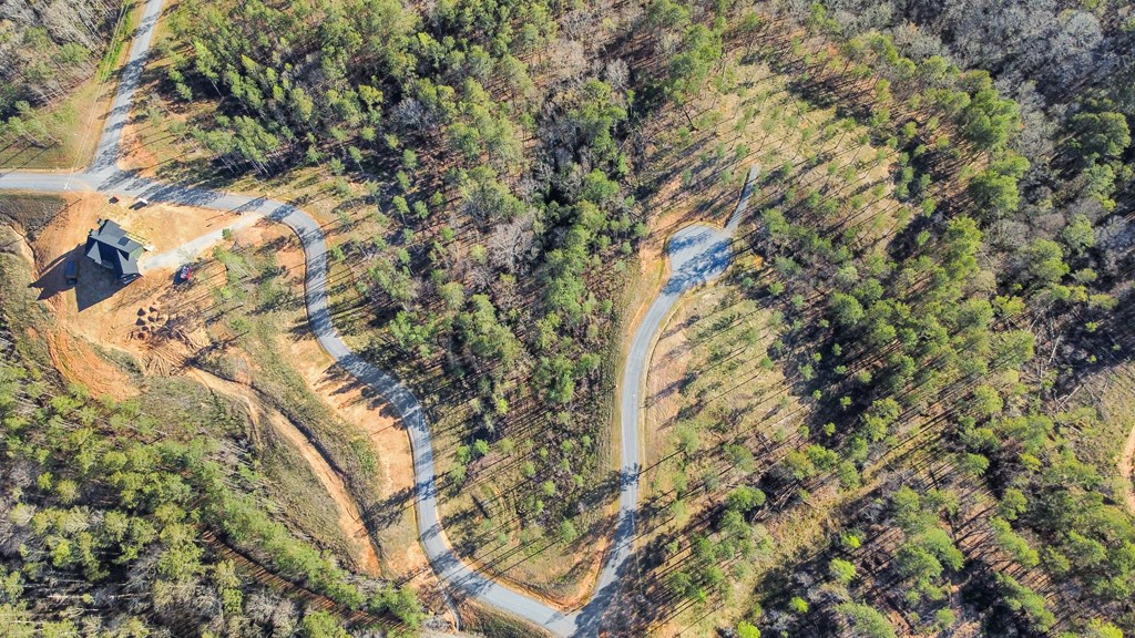 Ellijay, Georgia 30540, United States, ,Land,Active,61234