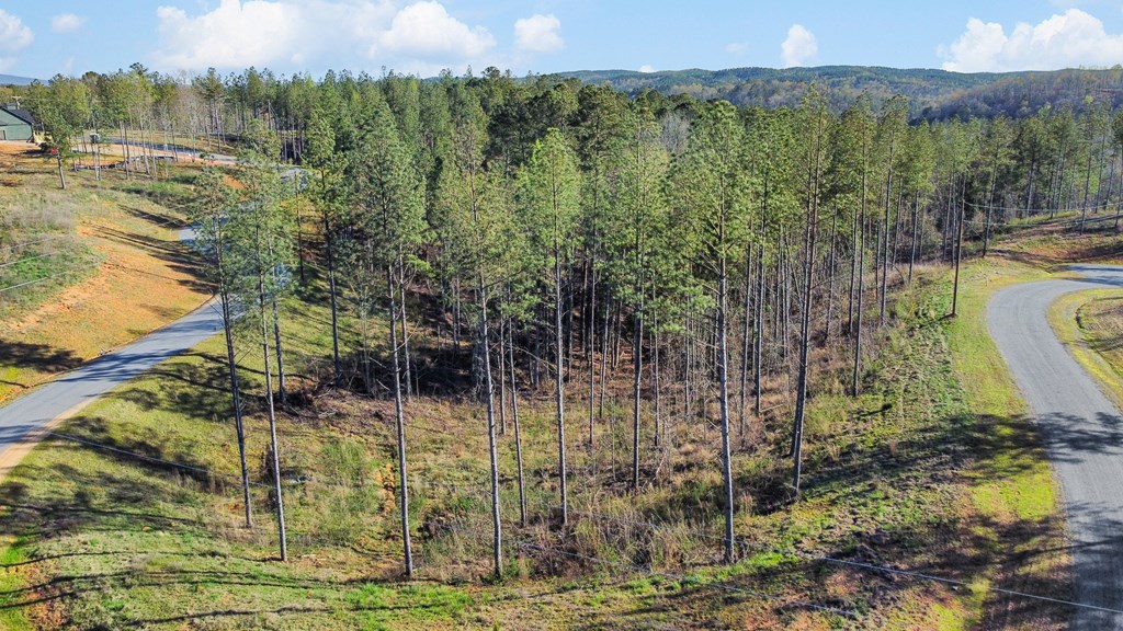 Ellijay, Georgia 30540, United States, ,Land,Active,61234