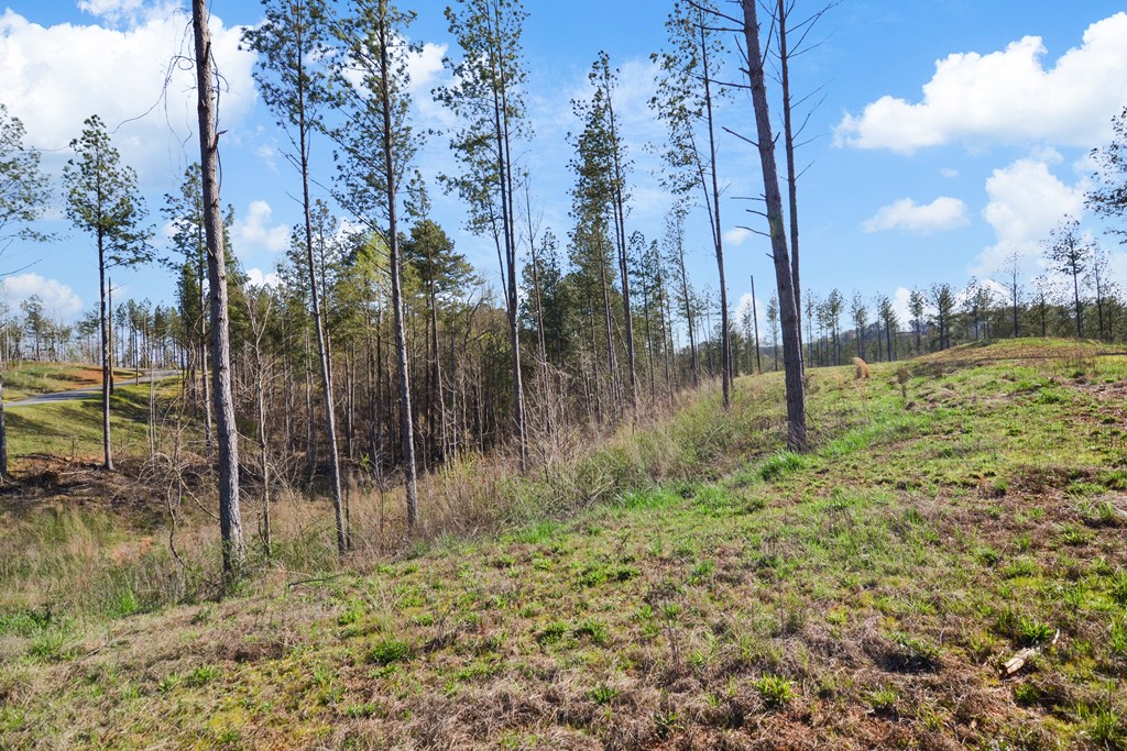 Ellijay, Georgia 30540, United States, ,Land,Active,61234