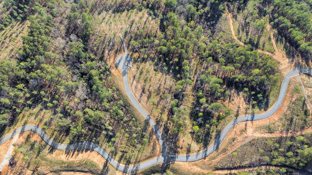 Ellijay, Georgia 30540, United States, ,Land,Active,61234