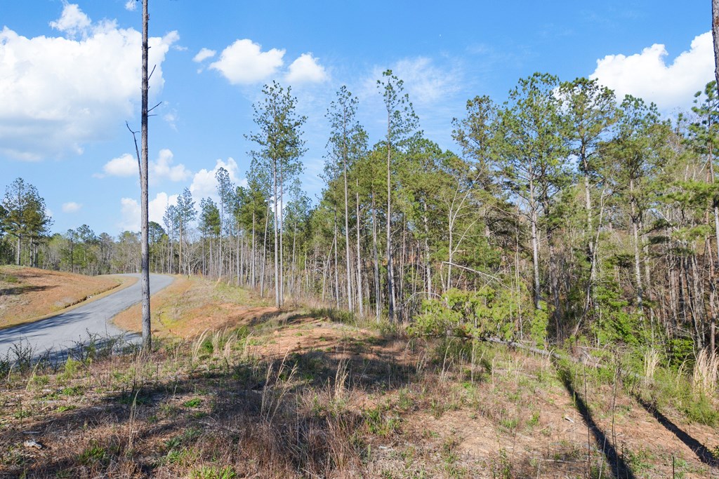 Ellijay, Georgia 30540, United States, ,Land,Active,61234