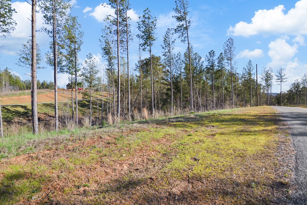 Ellijay, Georgia 30540, United States, ,Land,Active,61234