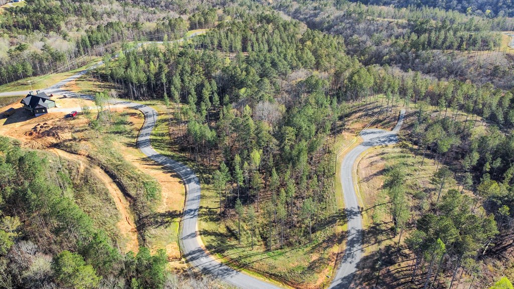 Ellijay, Georgia 30540, United States, ,Land,Active,61234