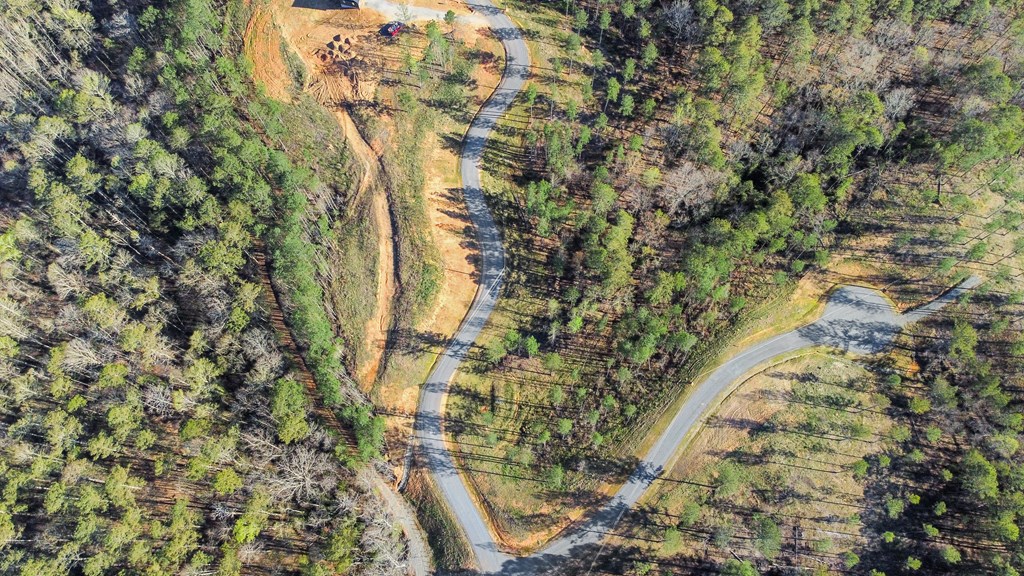 Ellijay, Georgia 30540, United States, ,Land,Active,61234