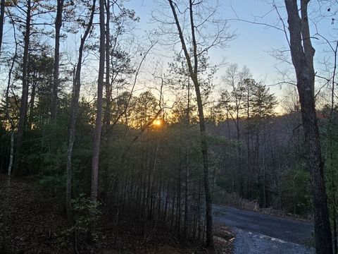 A home in Ellijay