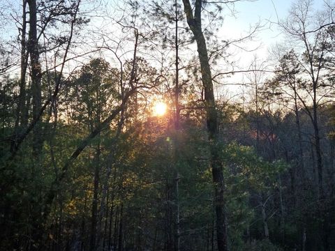 A home in Ellijay