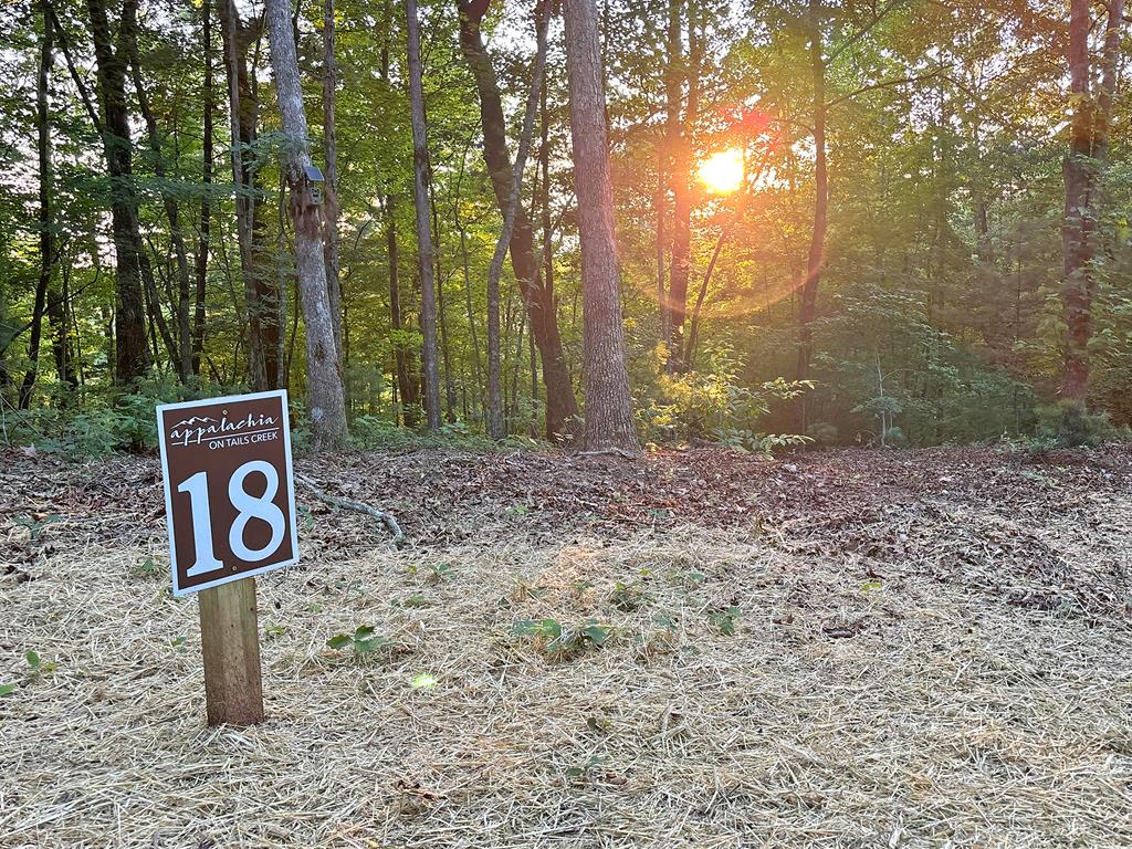 Lot 18 Mt. Springer Road