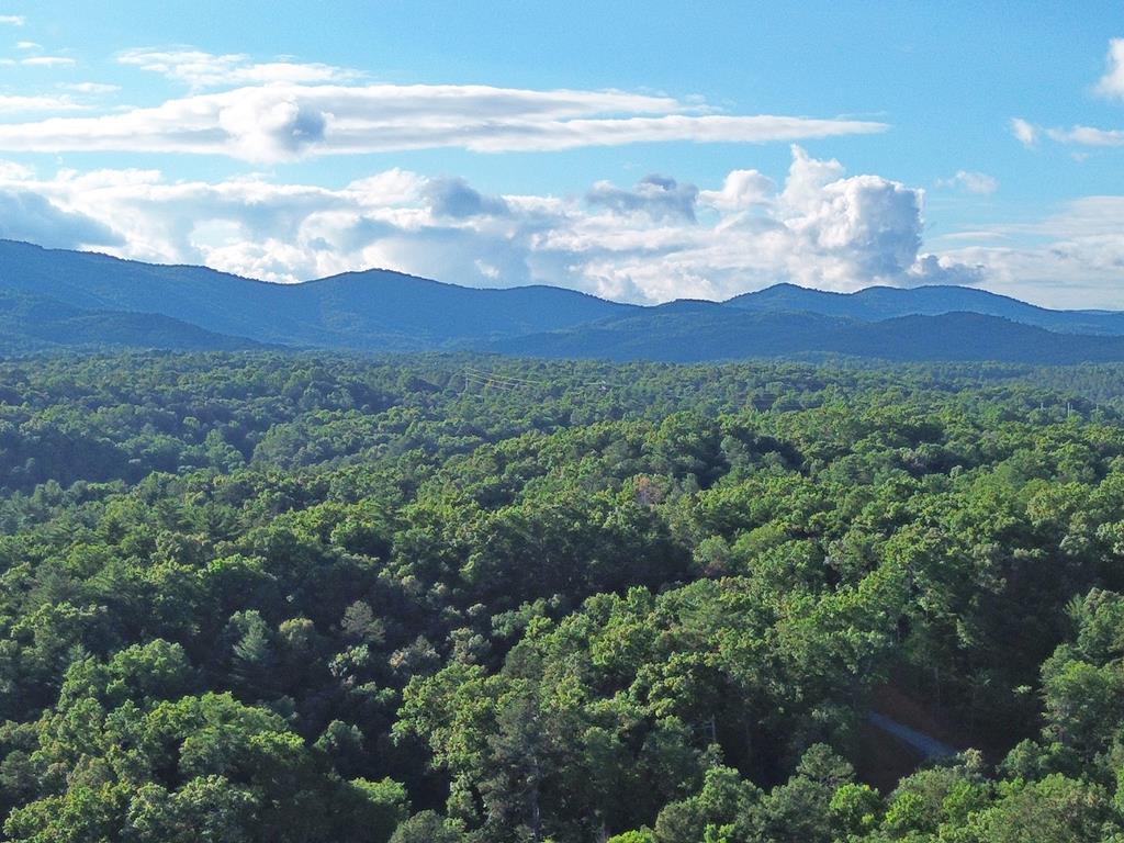 Lot 18 Mt. Springer Road