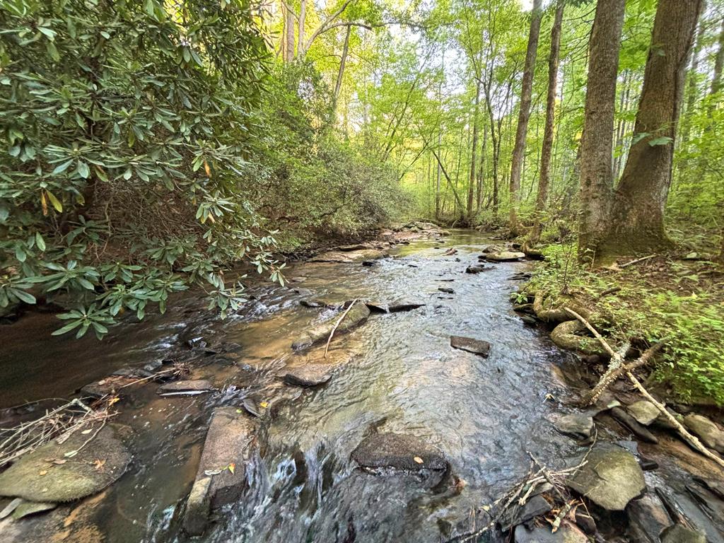 Lot 18 Mt. Springer Road