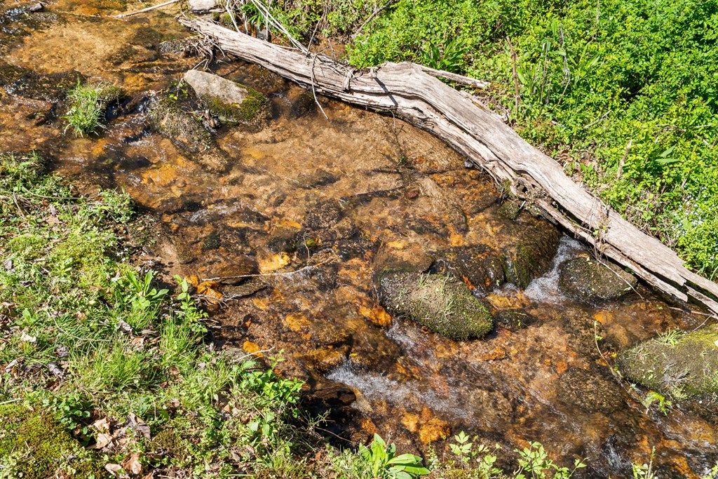 496 Jackie Cove Road