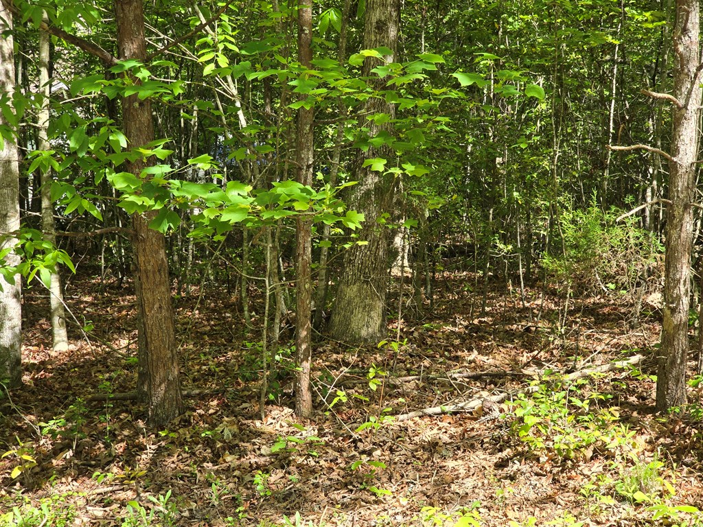 Tract 4A Garland Lane