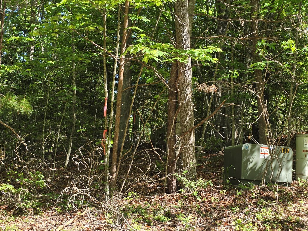 Tract 4A Garland Lane