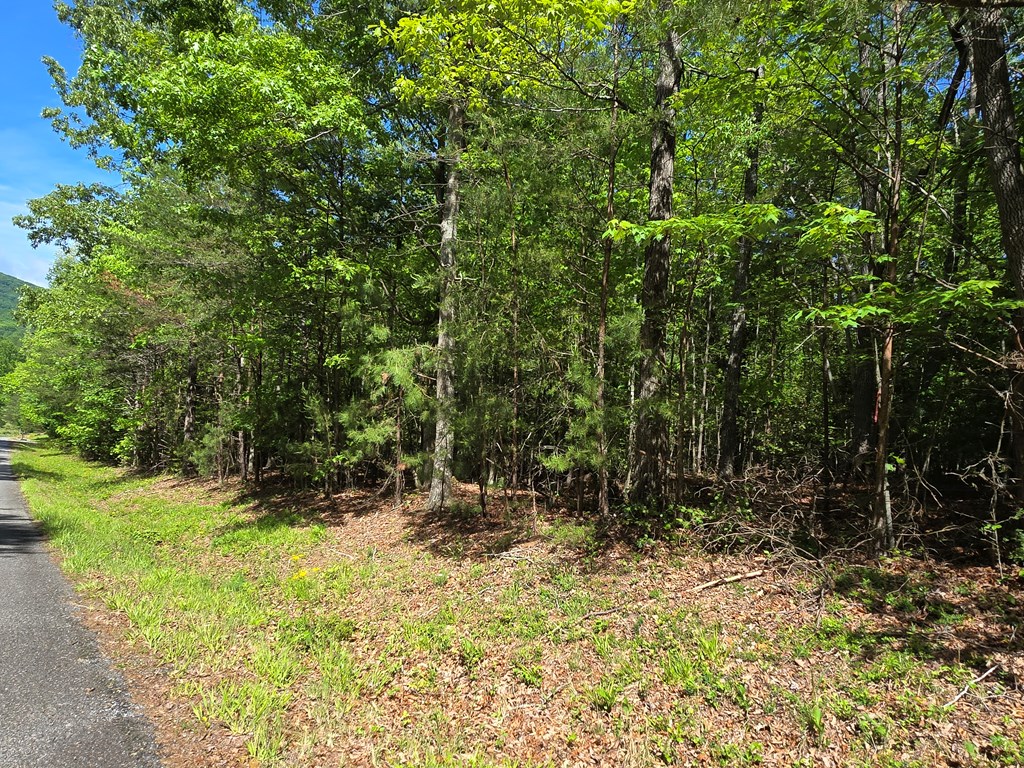 Tract 4A Garland Lane