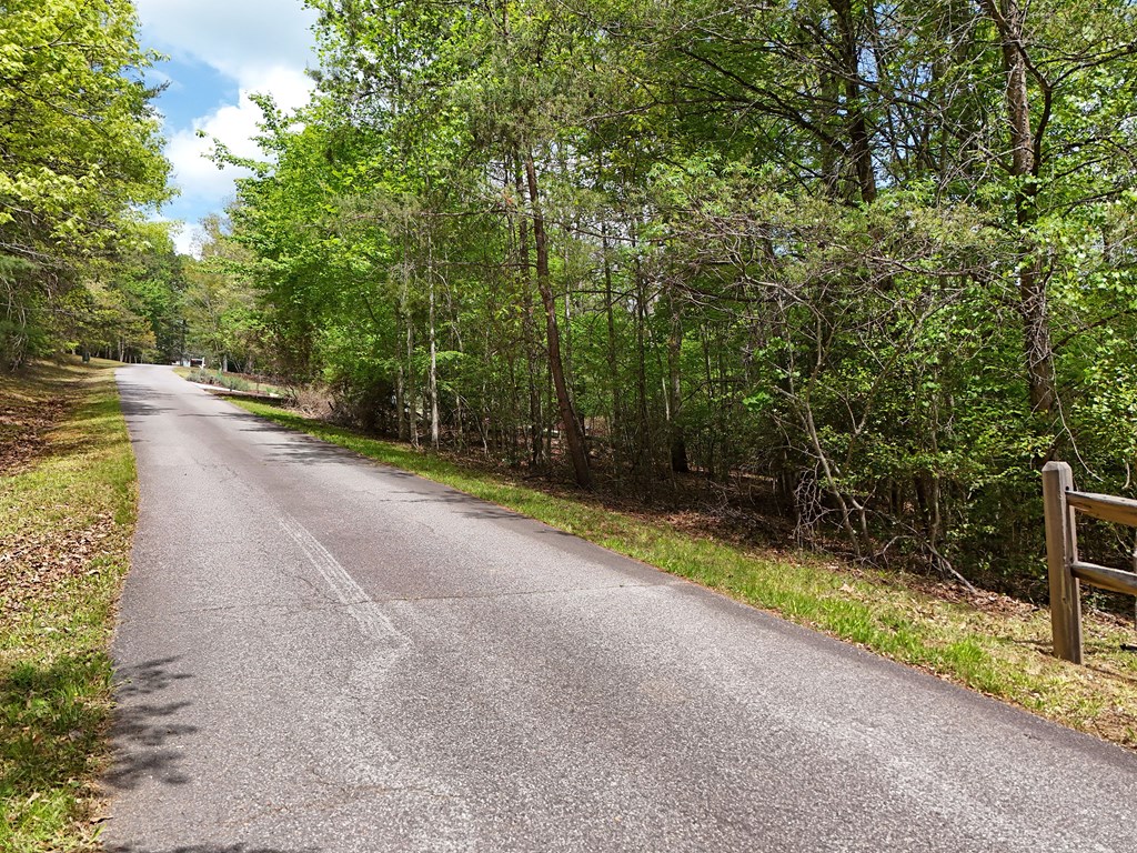 Lot 112 Falcon Drive