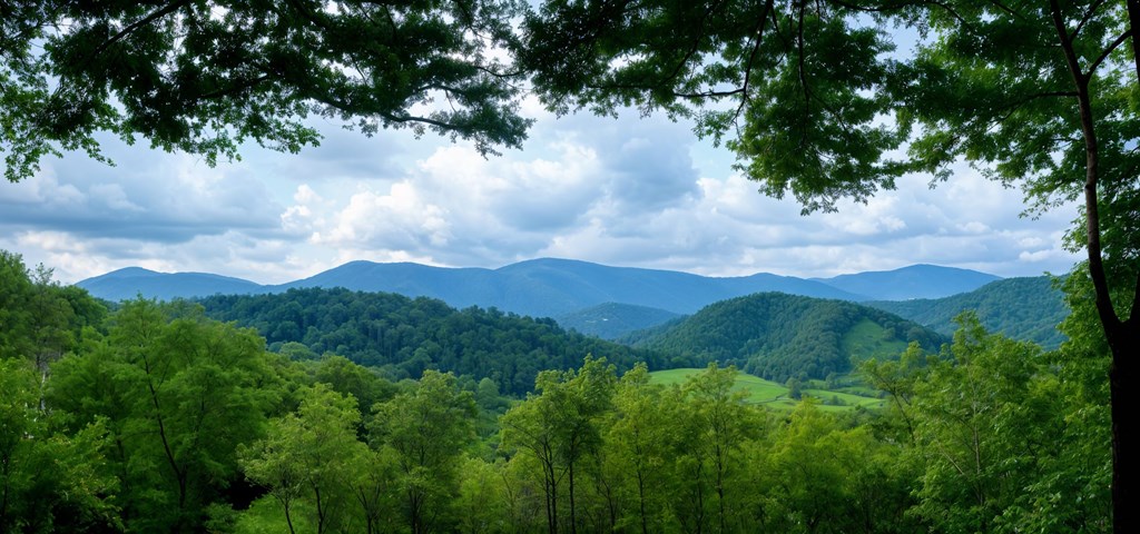 Lot 4 Gold Ridge Trail