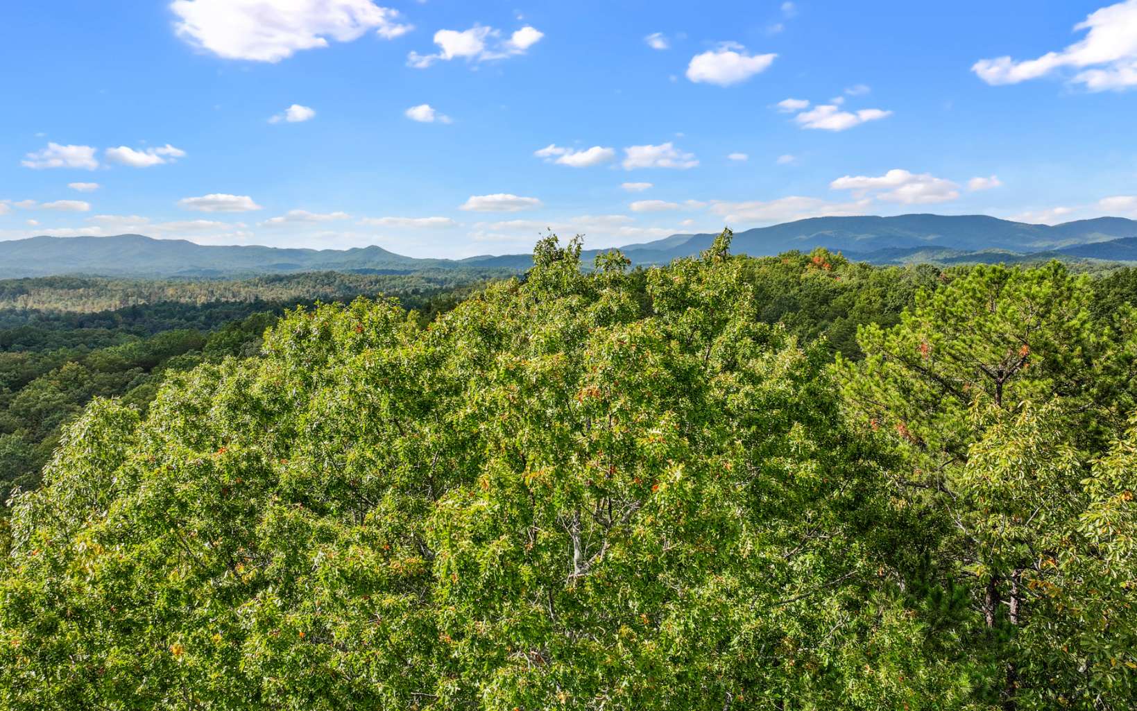 0 Osceola Dr - Lot #8