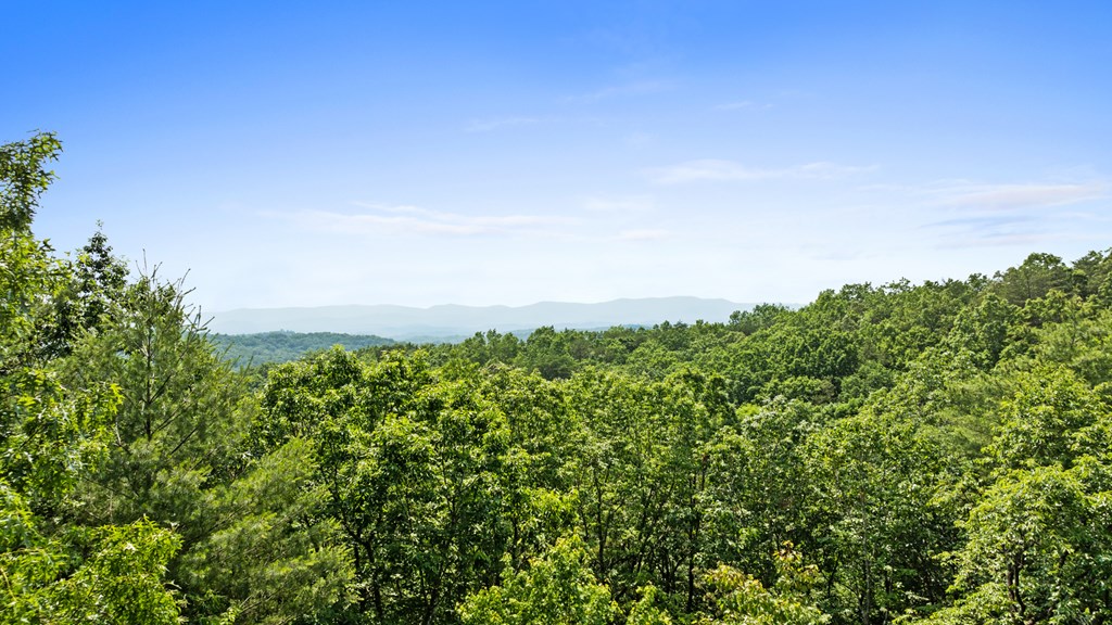 0 Osceola Dr - Lot #8