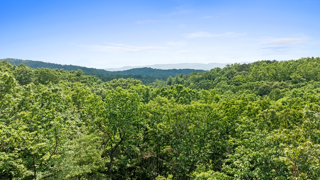 0 Osceola Dr - Lot #8