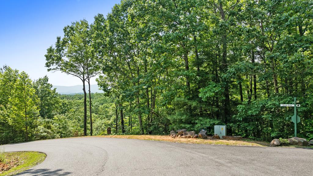 0 Osceola Dr - Lot #8