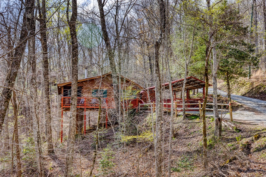 688 Little Bushy Head Road