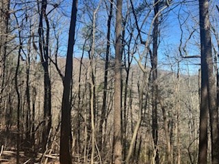 Lot 14 Butler Creek Road