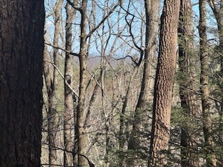 Lot 14 Butler Creek Road