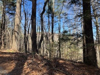 Lot 14 Butler Creek Road