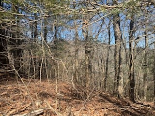 Lot 14 Butler Creek Road