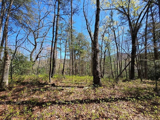 78 DEER CREST RD, BLUE RIDGE, GA 30513 - Image 35a93fffaa2e39060e009839eef5e1ca/1220678656