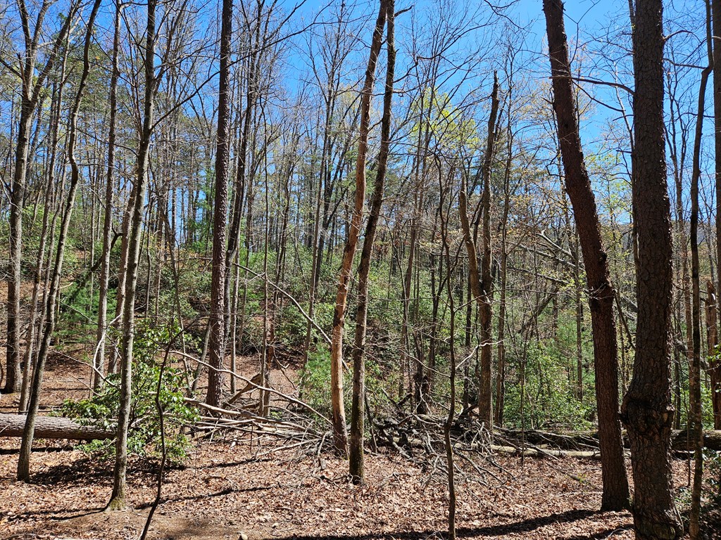 5.22 Deer Crest Road