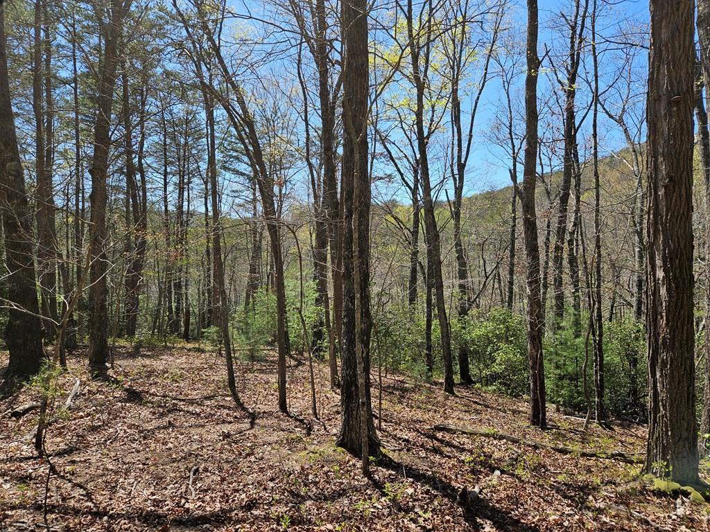 5.22 Deer Crest Road