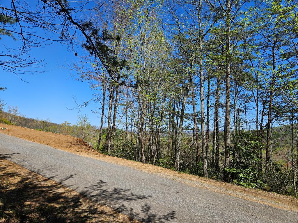 5.22 Deer Crest Road