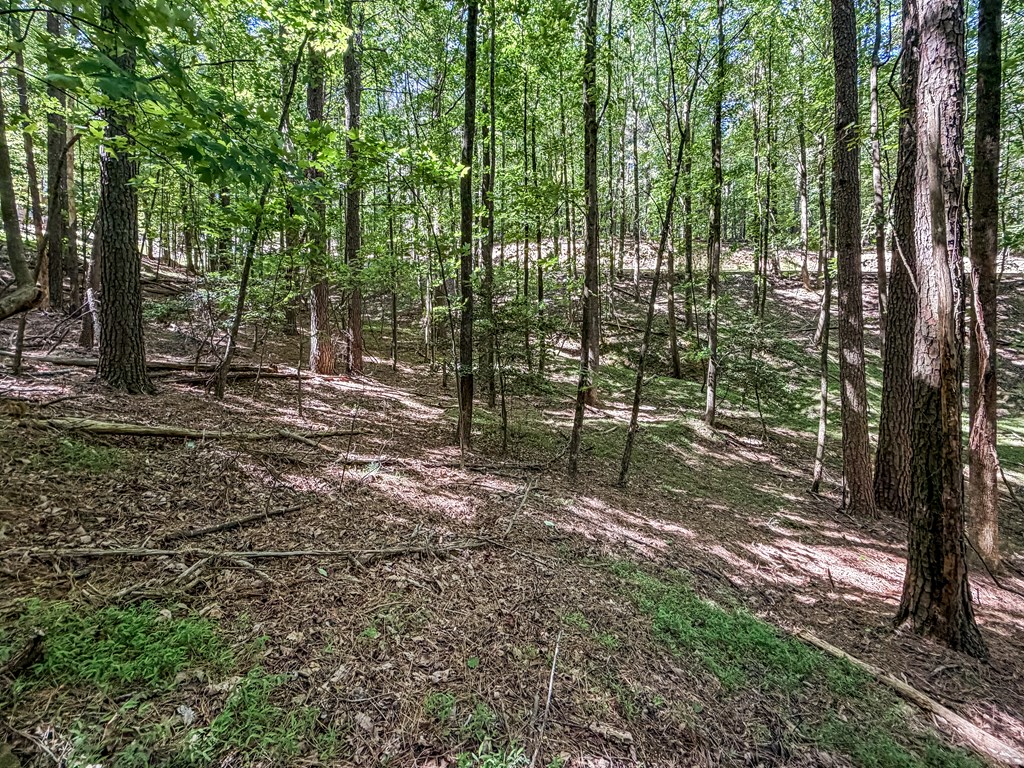 Lot 26 Estates Drive