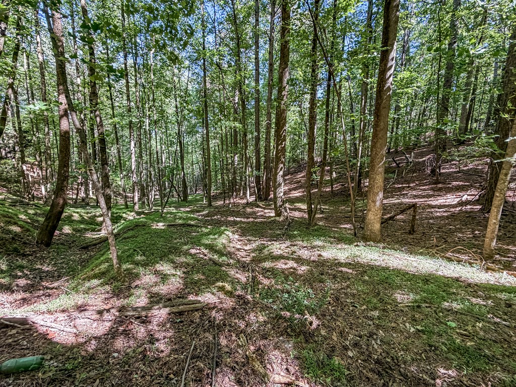 Lot 26 Estates Drive