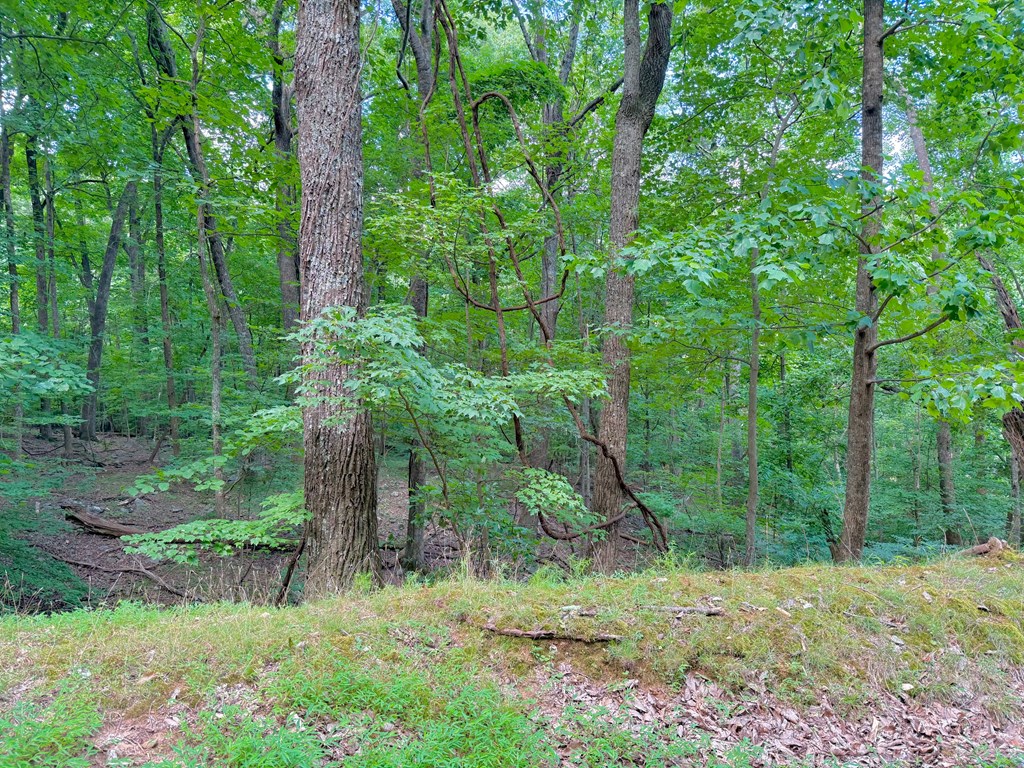 3238 Coffey Cove Drive