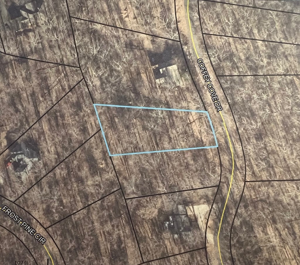 3238 Coffey Cove Drive