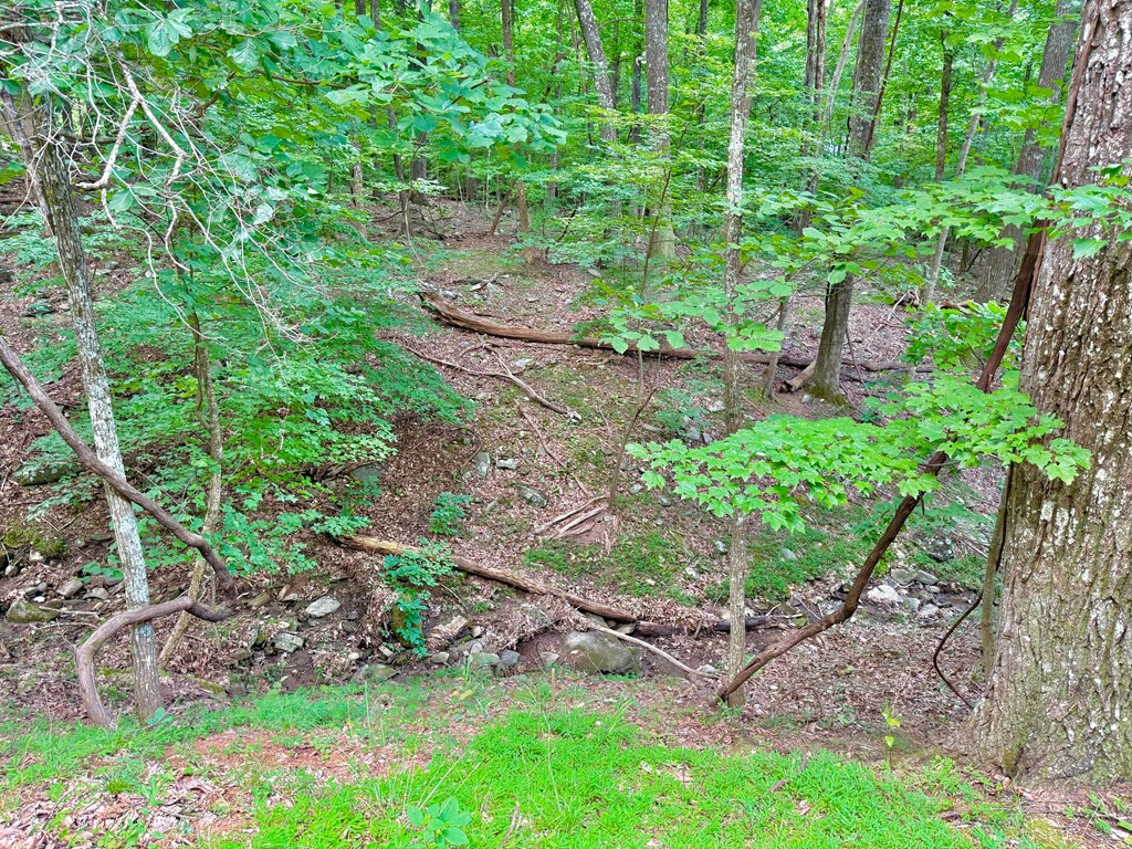 3238 Coffey Cove Drive